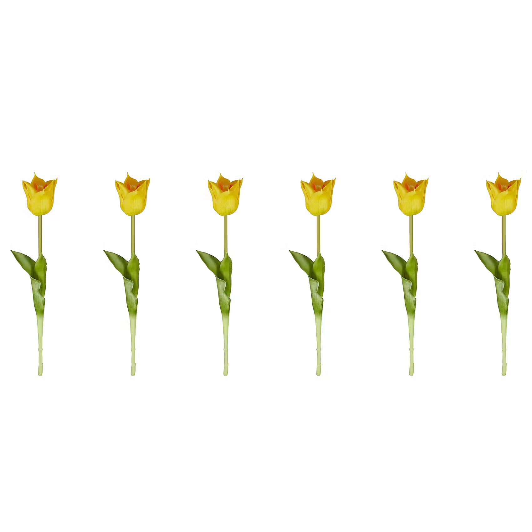 1000493113-250430-010-IMAGE-P000000001000493113